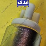 پمپ بنزین ماکسیما برند پاروت paraut ژاپن کد v33005